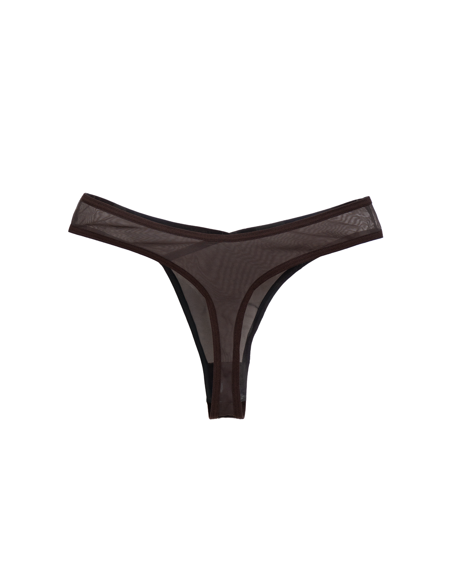 Noemi Brief